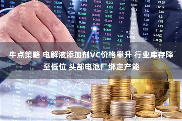 牛点策略 电解液添加剂VC价格攀升 行业库存降至低位 头部电池厂绑定产能